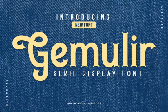 Gemulir: A Designer's Real-World Review of This Display Font